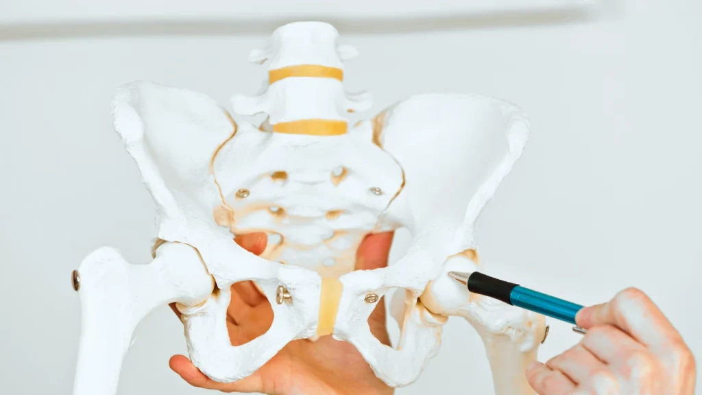 Hip Education Burnaby Physiotherapy