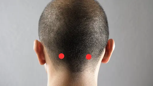 GB20 (Gall Bladder 20)