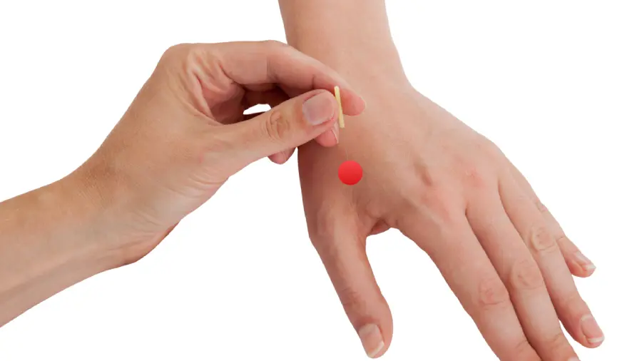 Large Intestine 4 - LI4 (Hegu)