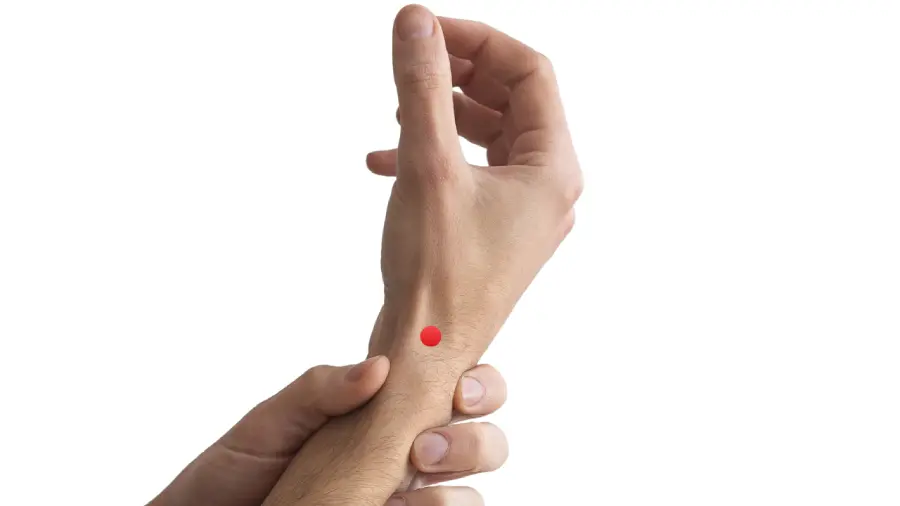 LI5 - Yangxi (Large Intestine 5)